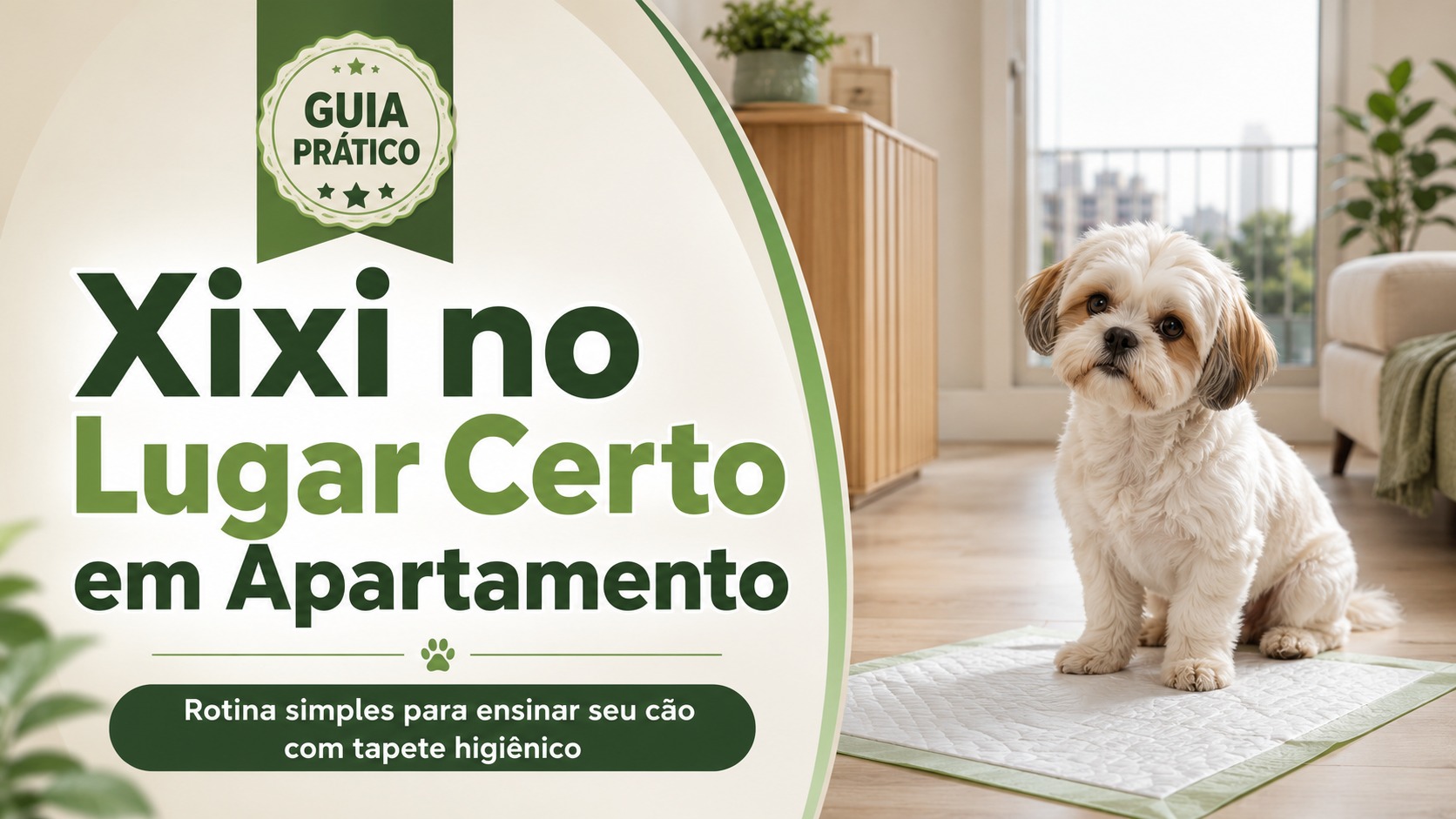 Cão fazendo xixi no tapete higiênico em apartamento, com guia de treinamento